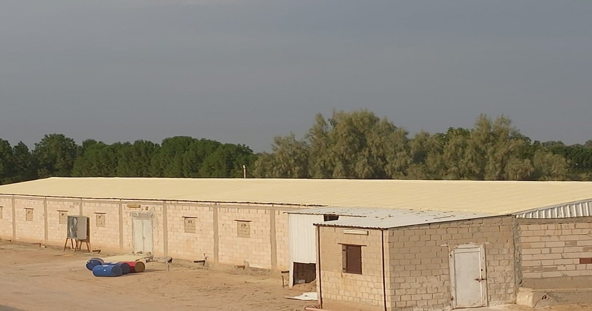 أفضل عازل حراري للاسطح