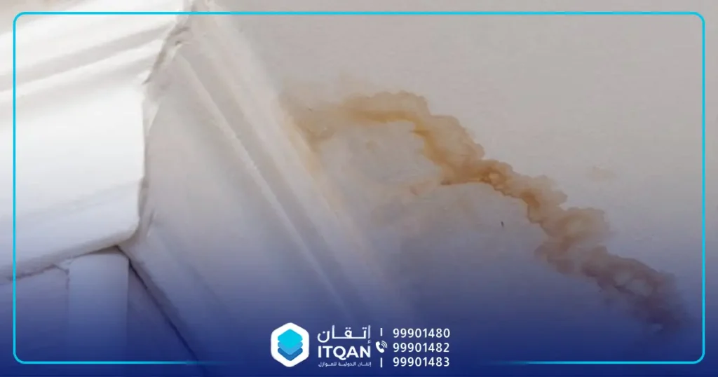 شركة كشف تسربات المياه