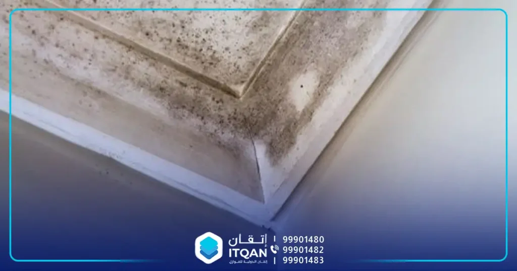 شركة كشف تسربات المياه