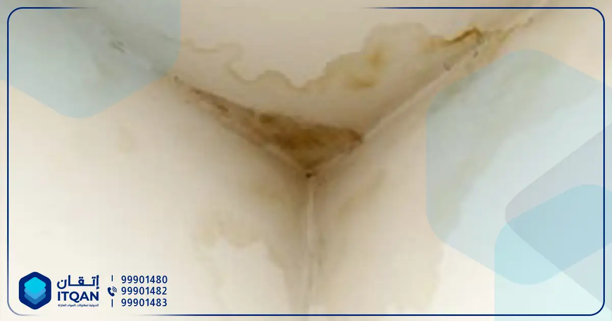 معالجه رطوبه الحوائط في الكويت